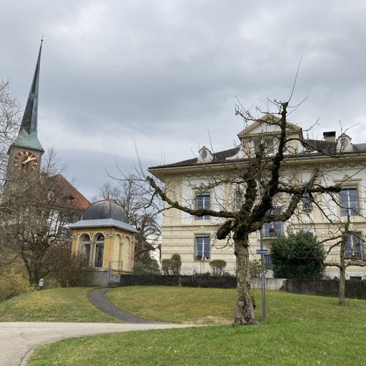 Mokhtar's Wonderful Club