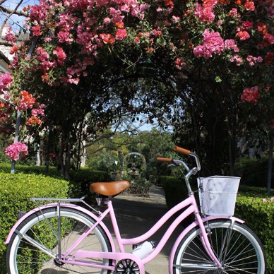 Bicycle riding (from zero)