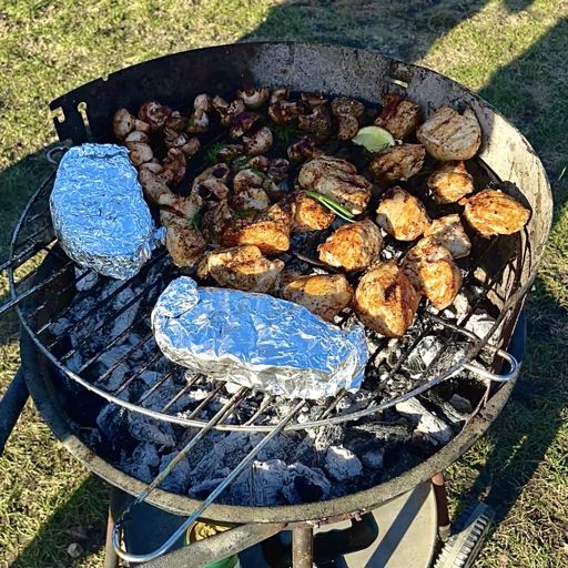 Шашлыки на Polu Mokotowskim