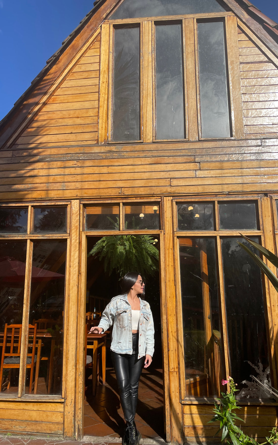 Angelica main picture