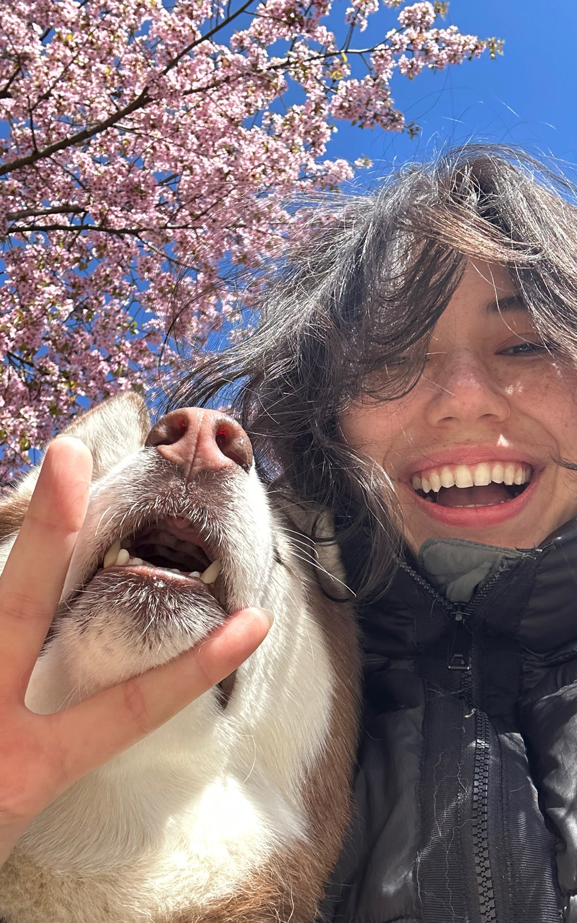 Annabell main picture