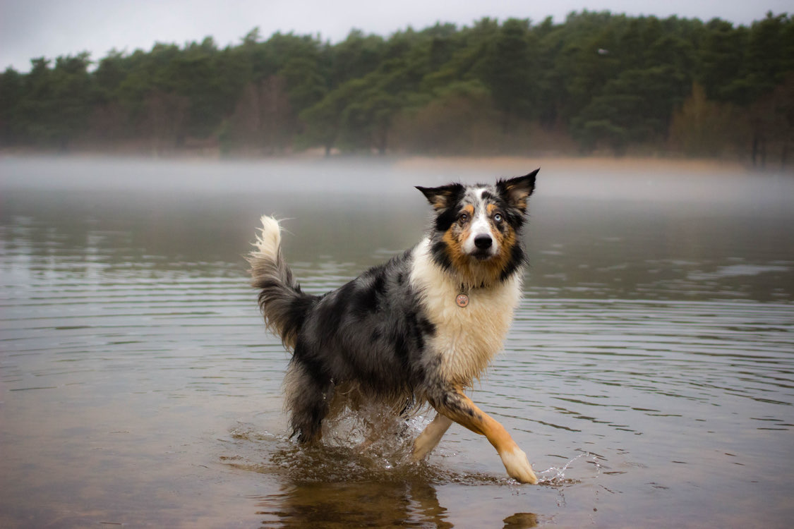 Larissa main picture