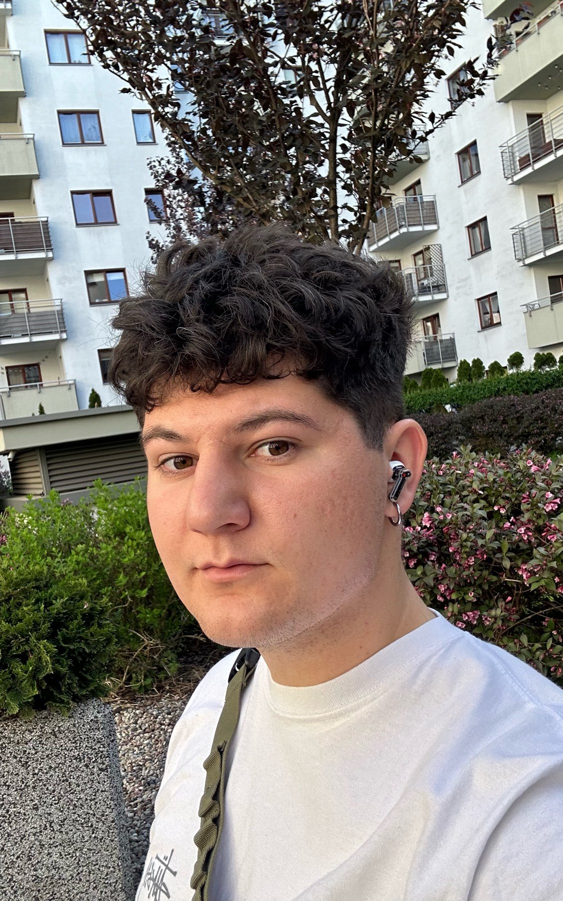Igor main picture