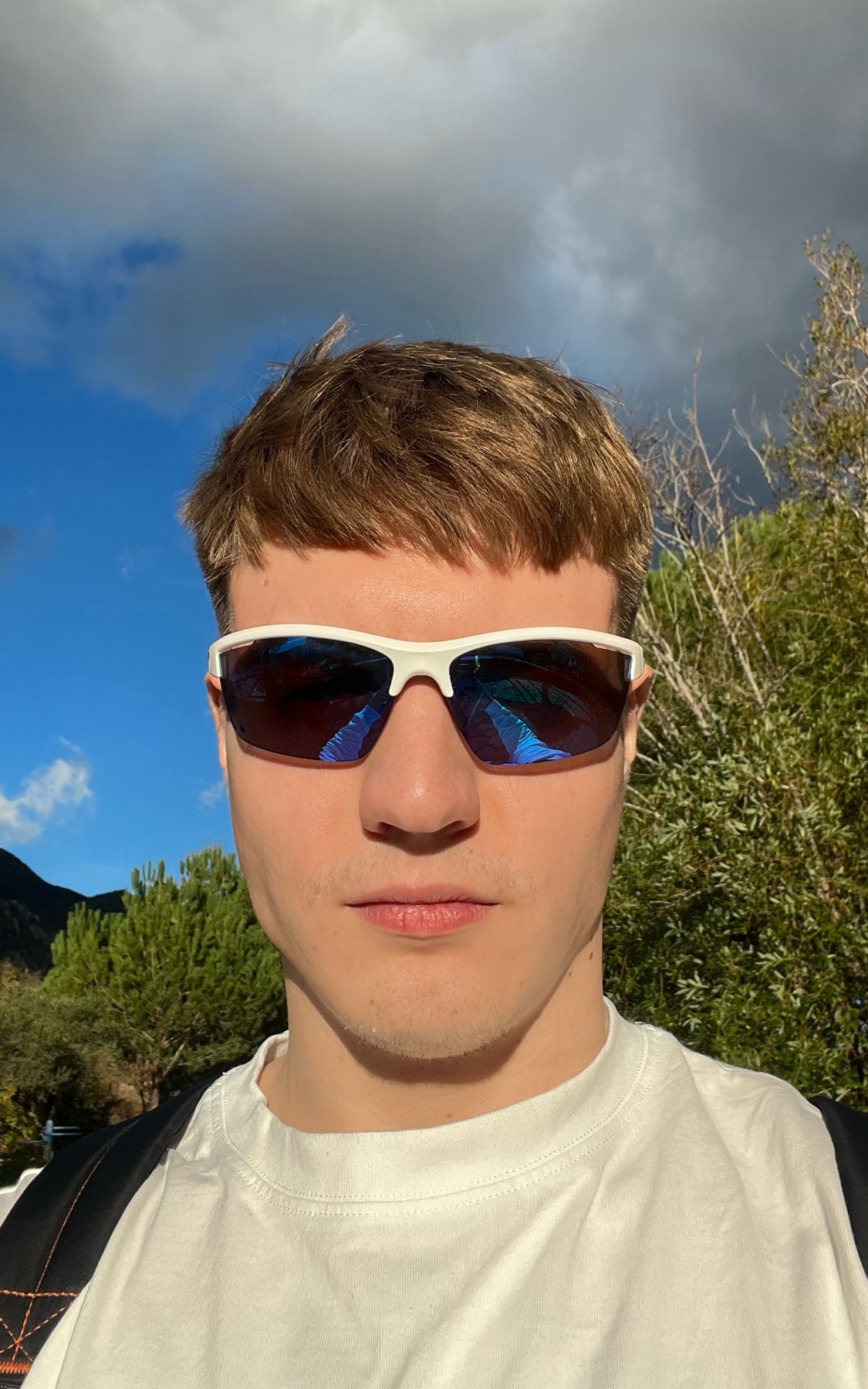 Anton main picture