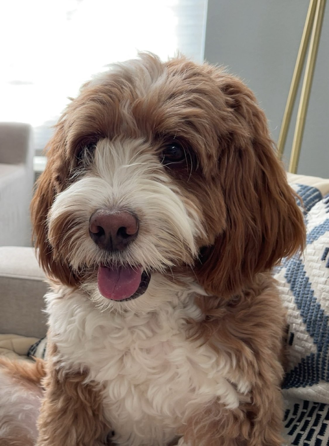 Clarissa main picture