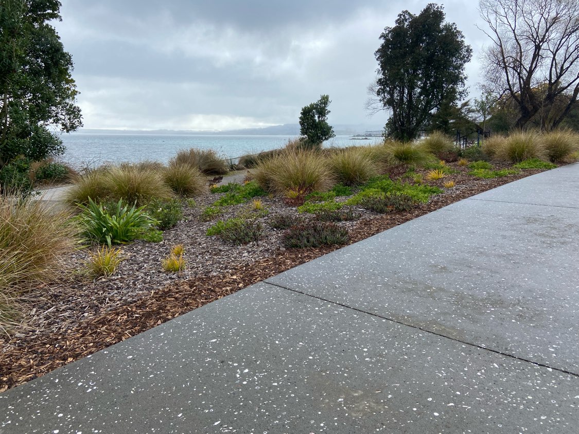 Kathleen main picture