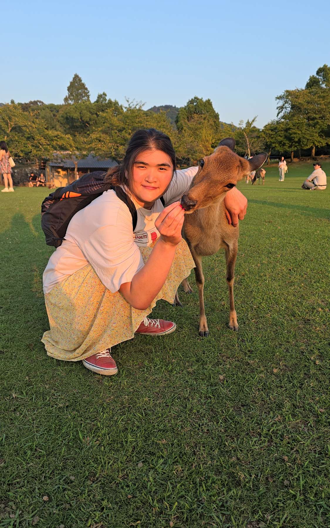 Mochi main picture