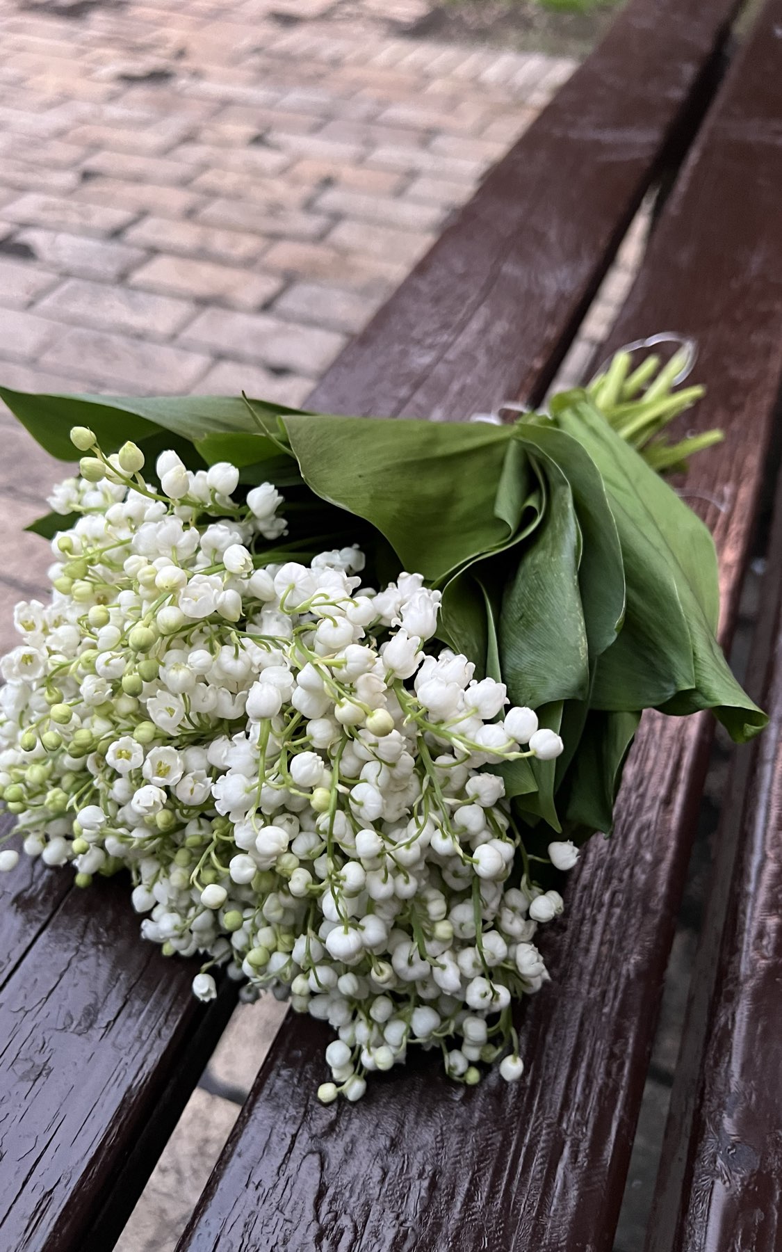 Liudmila main picture