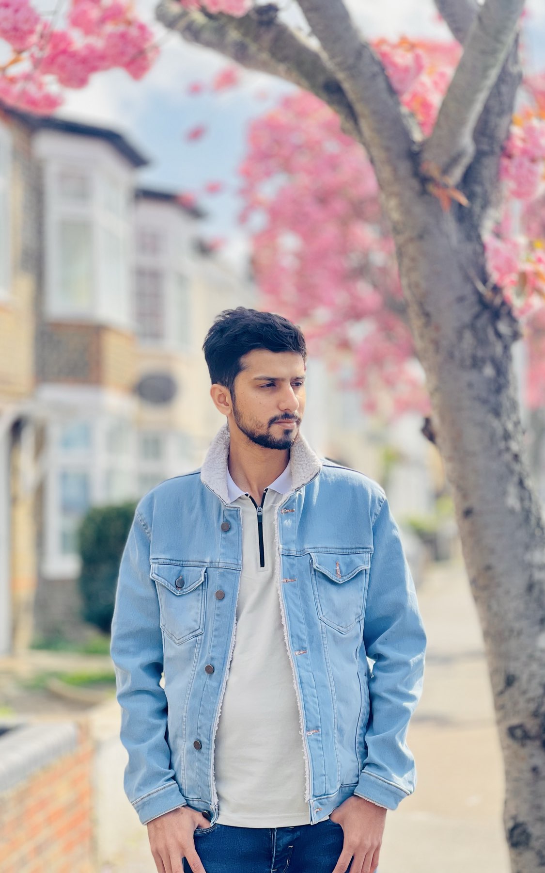 Malik main picture