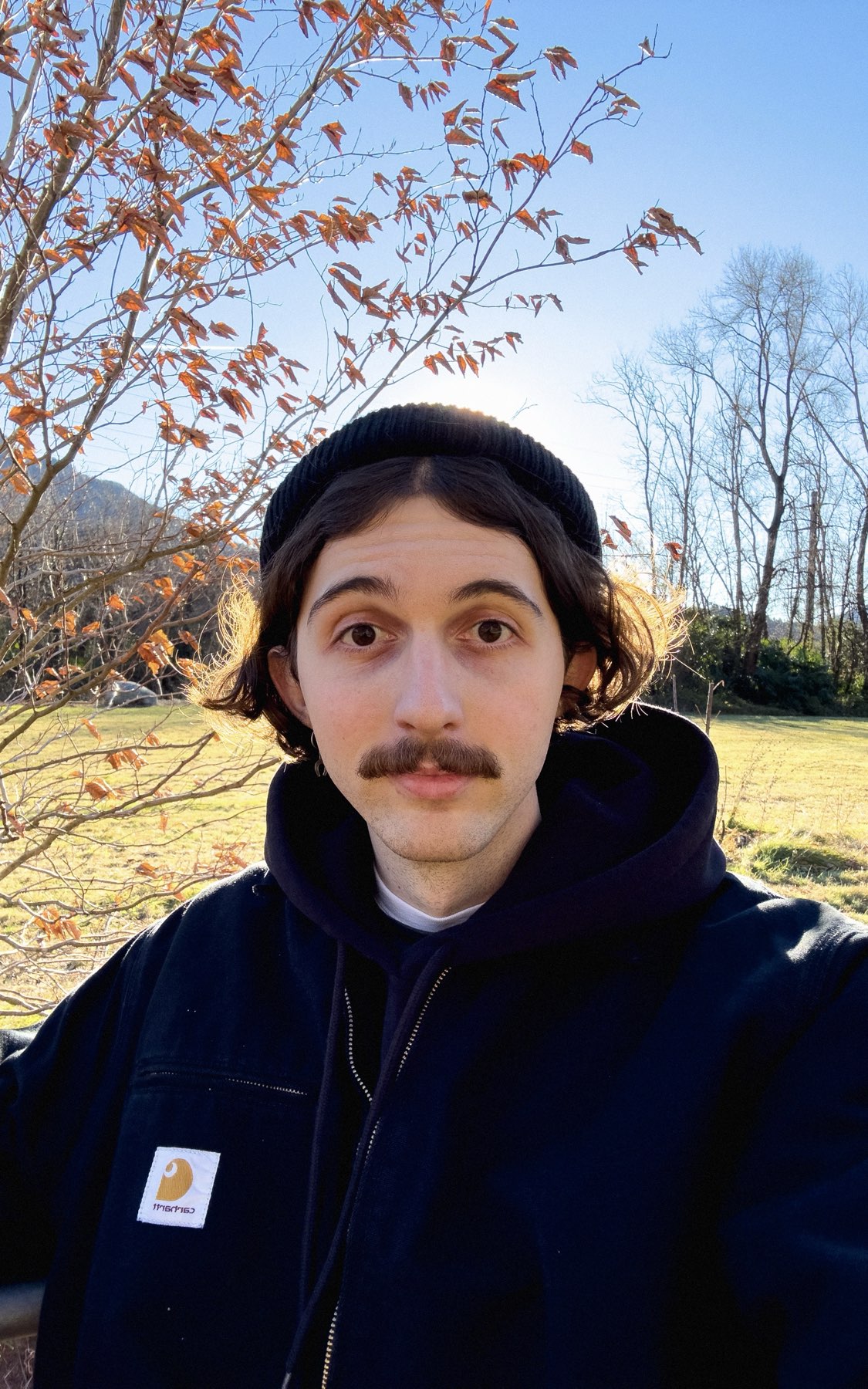 Vlad main picture