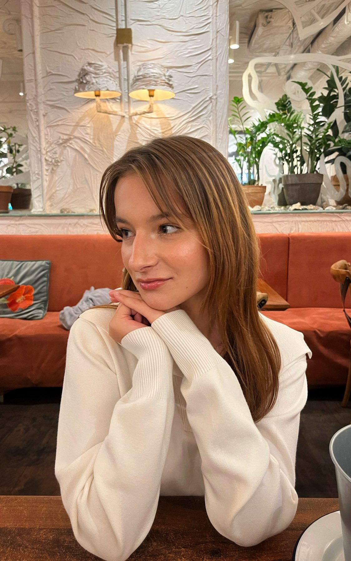 Vlada main picture