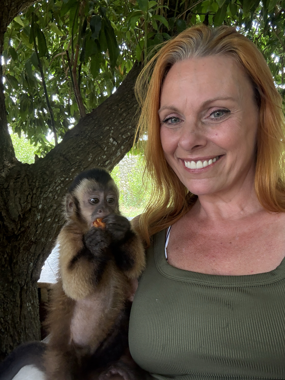 Brigitte main picture