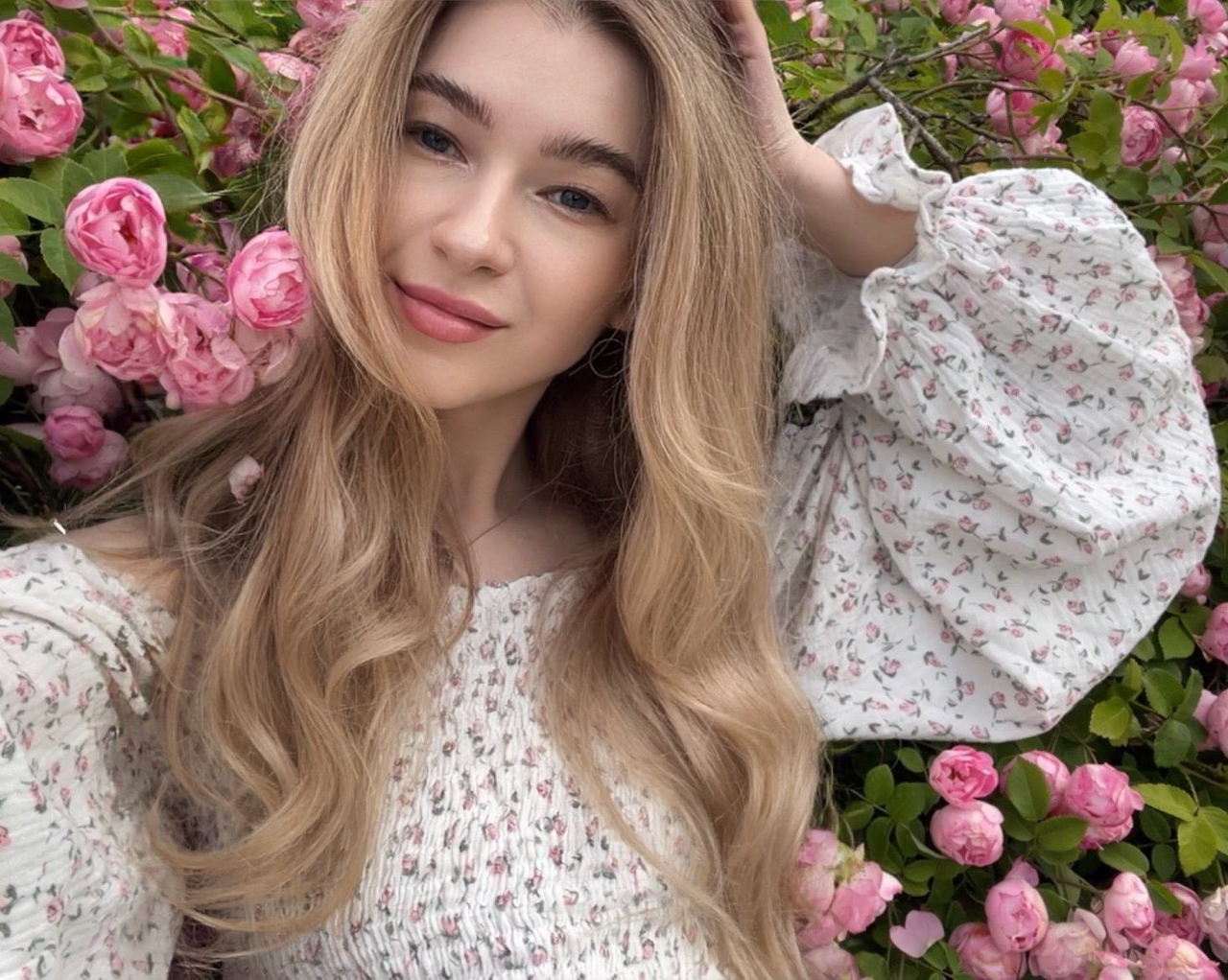 София main picture