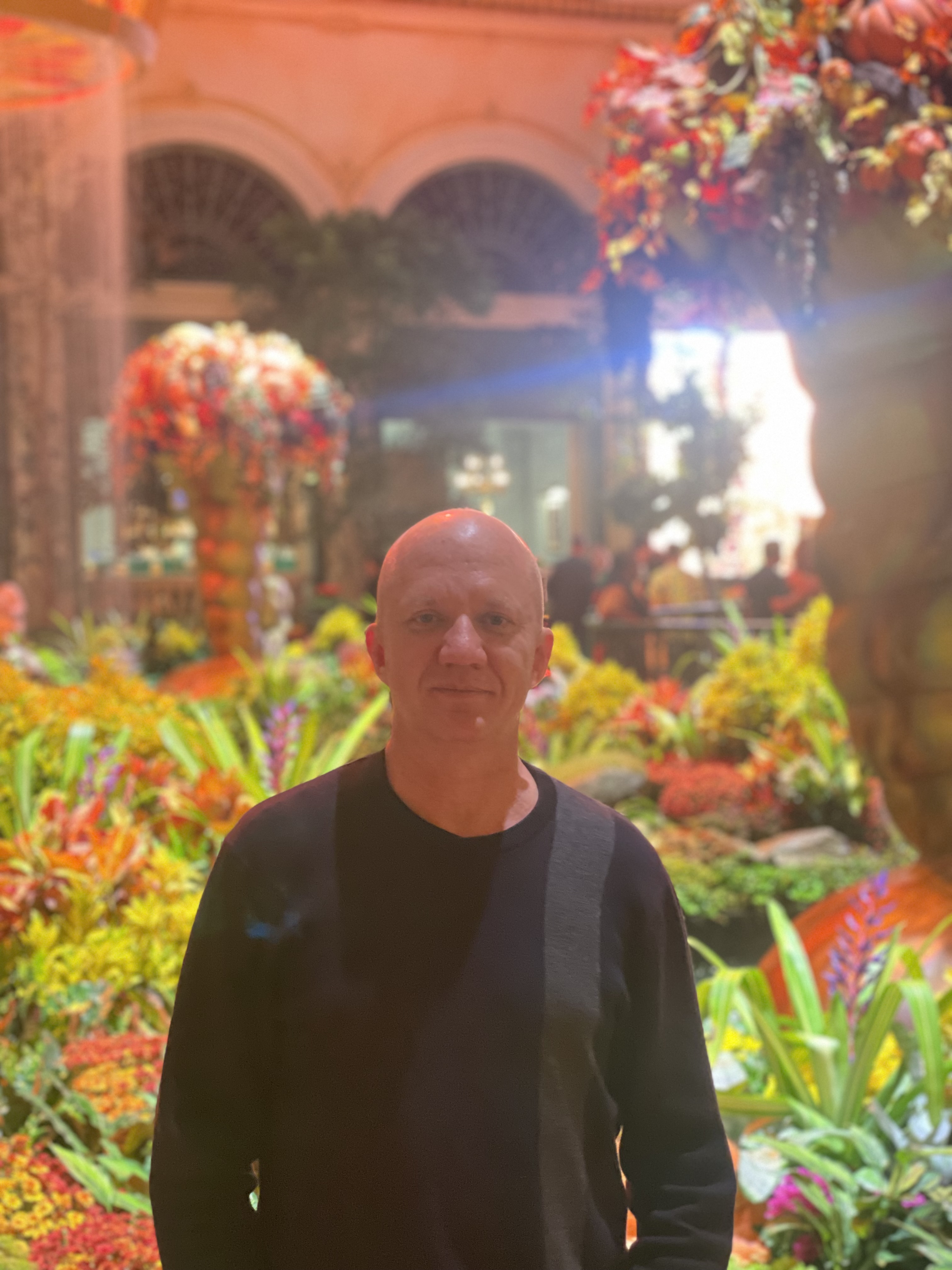 Dimitri main picture