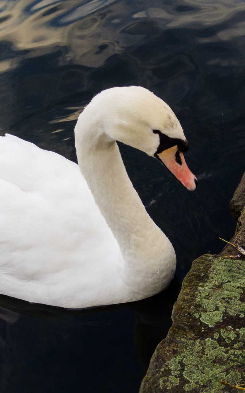 Sandeep main picture