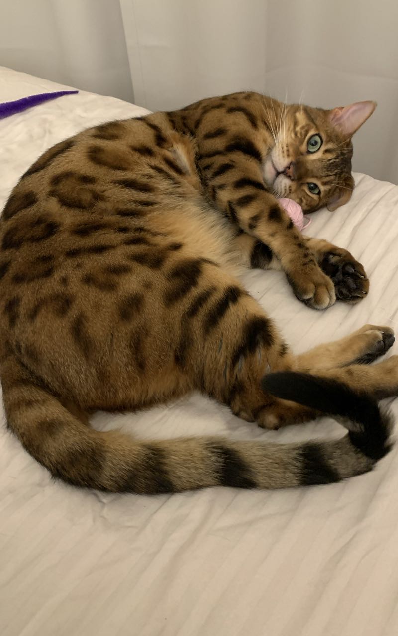 Liudmila main picture