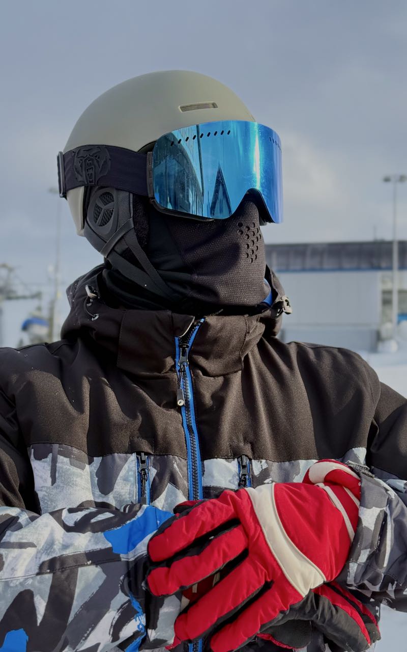 Aleksander main picture